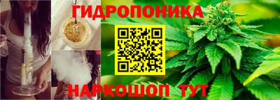 скорость Гусь-Хрустальный