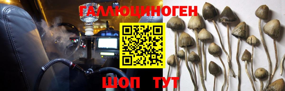 Галлюциногенные грибы Psilocybe  Вход с VPN  Кубинка 